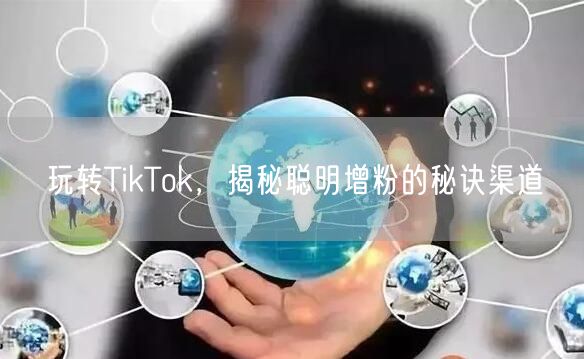 玩转TikTok，揭秘聪明增粉的秘诀渠道