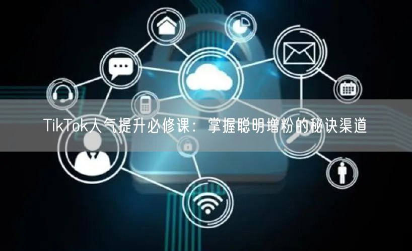 TikTok人气提升必修课：掌握聪明增粉的秘诀渠道