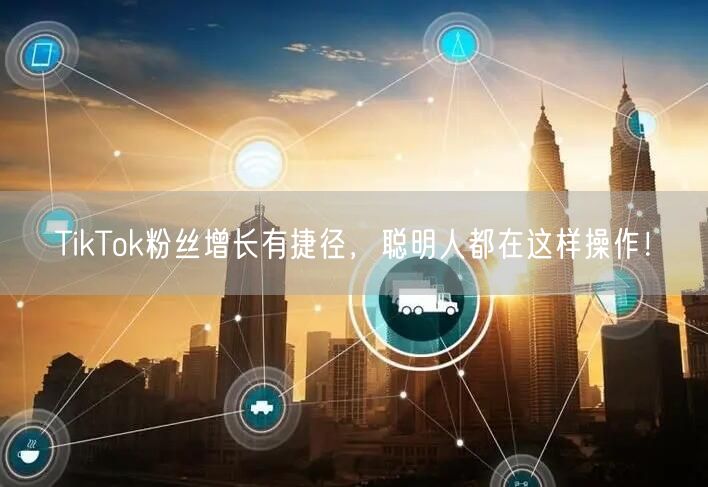 TikTok粉丝增长有捷径，聪明人都在这样操作！