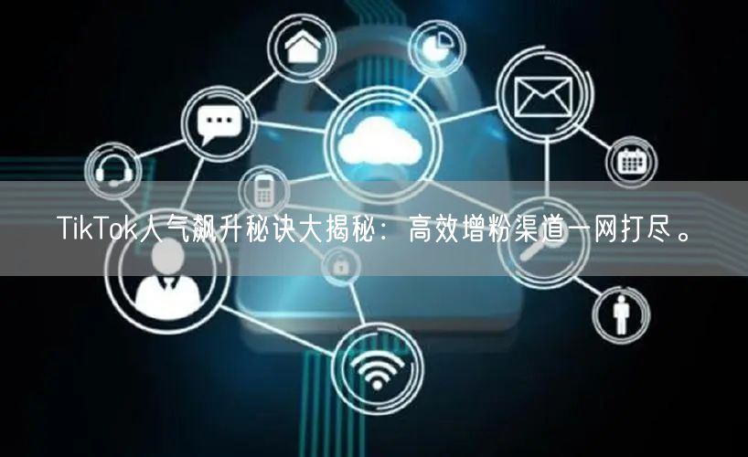 TikTok人气飙升秘诀大揭秘：高效增粉渠道一网打尽。