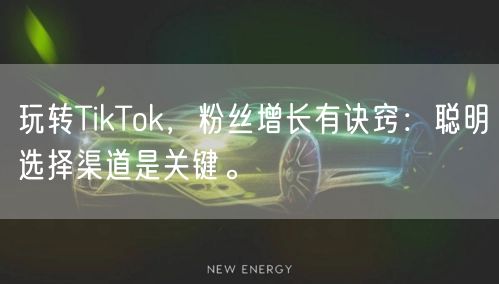玩转TikTok，粉丝增长有诀窍：聪明选择渠道是关键。