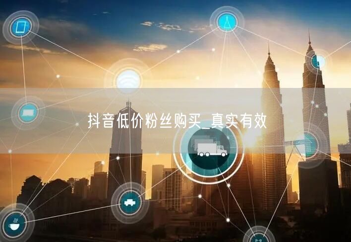 抖音低价粉丝购买_真实有效