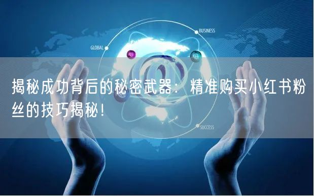 揭秘成功背后的秘密武器：精准购买小红书粉丝的技巧揭秘！