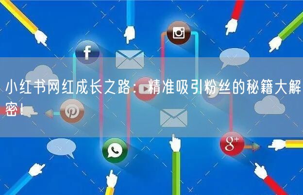 小红书网红成长之路：精准吸引粉丝的秘籍大解密！
