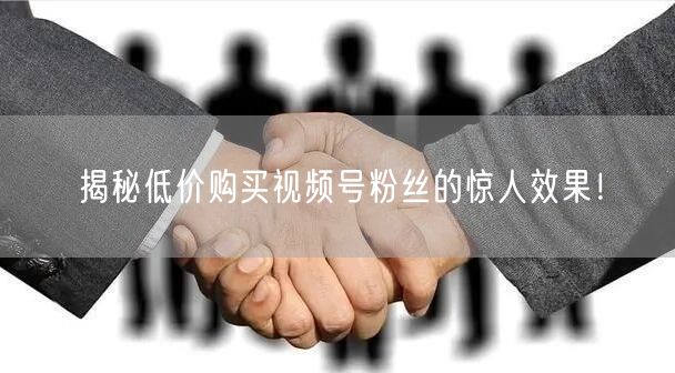 揭秘低价购买视频号粉丝的惊人效果！