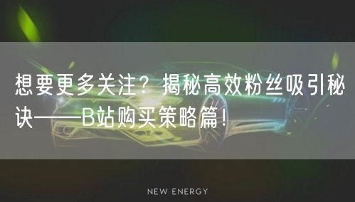 想要更多关注？揭秘高效粉丝吸引秘诀——B站购买策略篇！