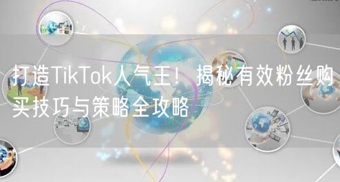 打造TikTok人气王！揭秘有效粉丝购买技巧与策略全攻略
