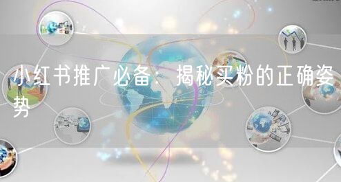 小红书推广必备：揭秘买粉的正确姿势
