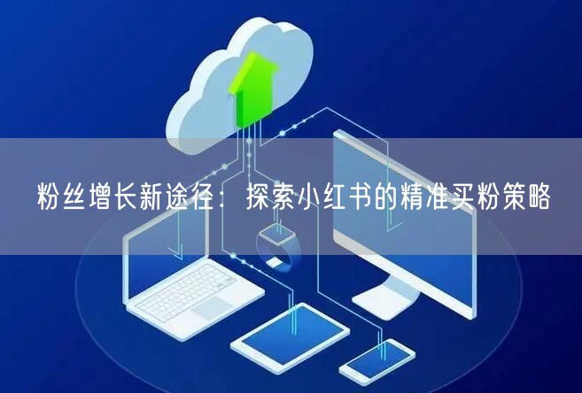 粉丝增长新途径：探索小红书的精准买粉策略