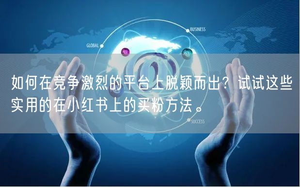 如何在竞争激烈的平台上脱颖而出？试试这些实用的在小红书上的买粉方法。
