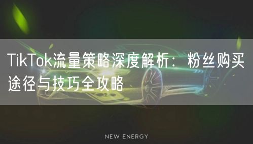 TikTok流量策略深度解析：粉丝购买途径与技巧全攻略