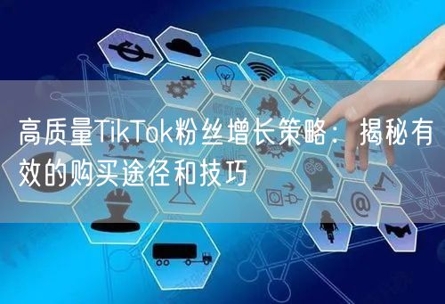 高质量TikTok粉丝增长策略：揭秘有效的购买途径和技巧