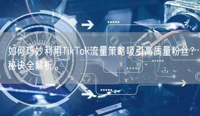 如何巧妙利用TikTok流量策略吸引高质量粉丝？秘诀全解析。