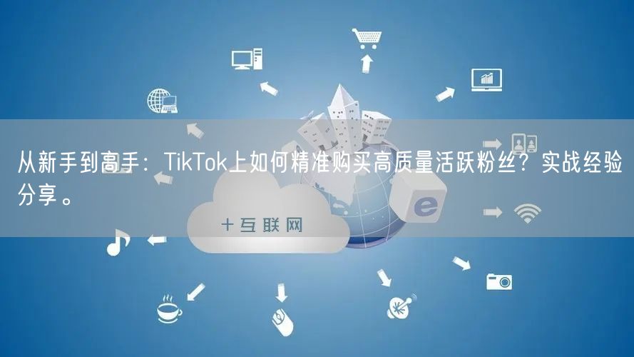 从新手到高手：TikTok上如何精准购买高质量活跃粉丝？实战经验分享。