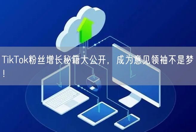 TikTok粉丝增长秘籍大公开，成为意见领袖不是梦！