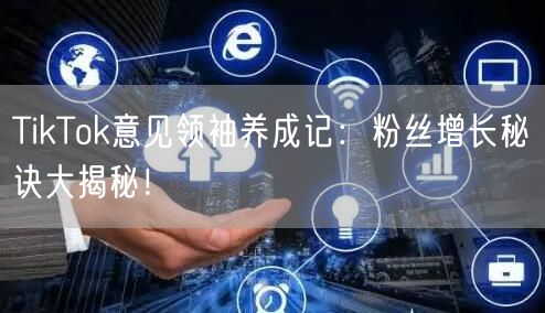 TikTok意见领袖养成记：粉丝增长秘诀大揭秘！