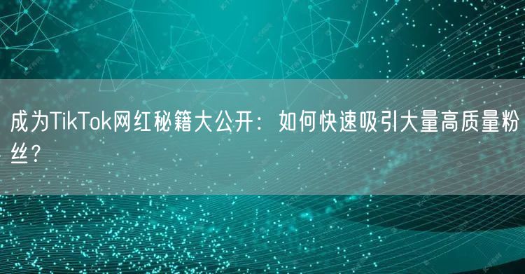 成为TikTok网红秘籍大公开：如何快速吸引大量高质量粉丝？