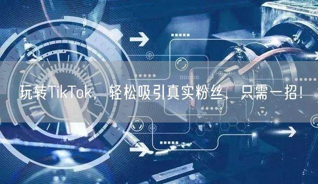 玩转TikTok，轻松吸引真实粉丝，只需一招！