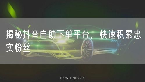 揭秘抖音自助下单平台，快速积累忠实粉丝