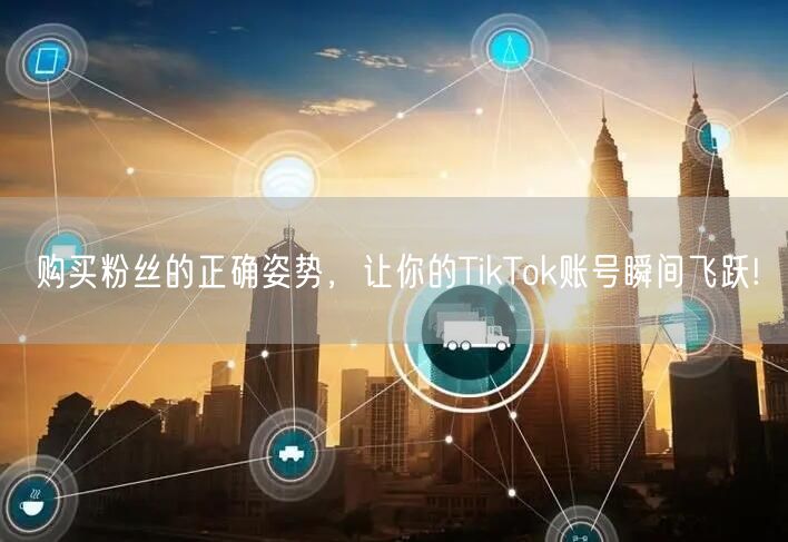 购买粉丝的正确姿势，让你的TikTok账号瞬间飞跃!