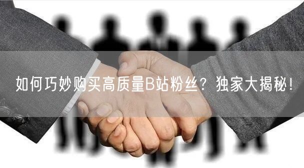 如何巧妙购买高质量B站粉丝？独家大揭秘！