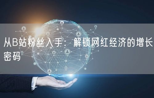 从B站粉丝入手：解锁网红经济的增长密码