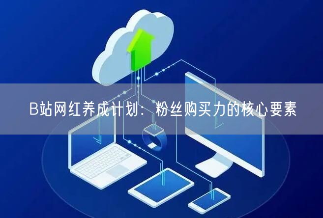 B站网红养成计划：粉丝购买力的核心要素