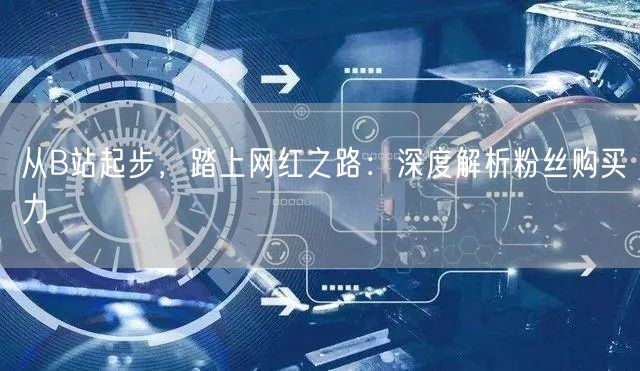 从B站起步，踏上网红之路：深度解析粉丝购买力