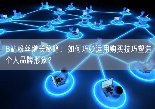 B站粉丝增长秘籍：如何巧妙运用购买技巧塑造个人品牌形象？
