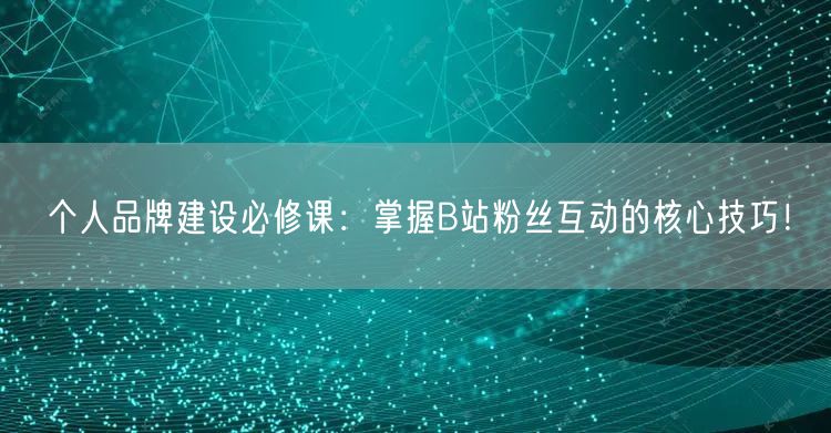 个人品牌建设必修课：掌握B站粉丝互动的核心技巧！