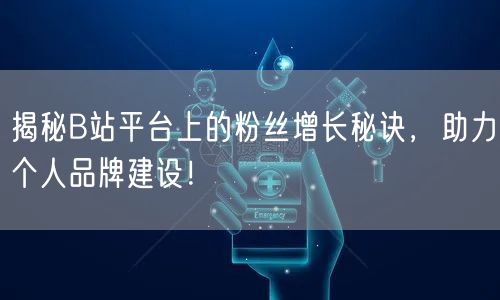 揭秘B站平台上的粉丝增长秘诀，助力个人品牌建设！