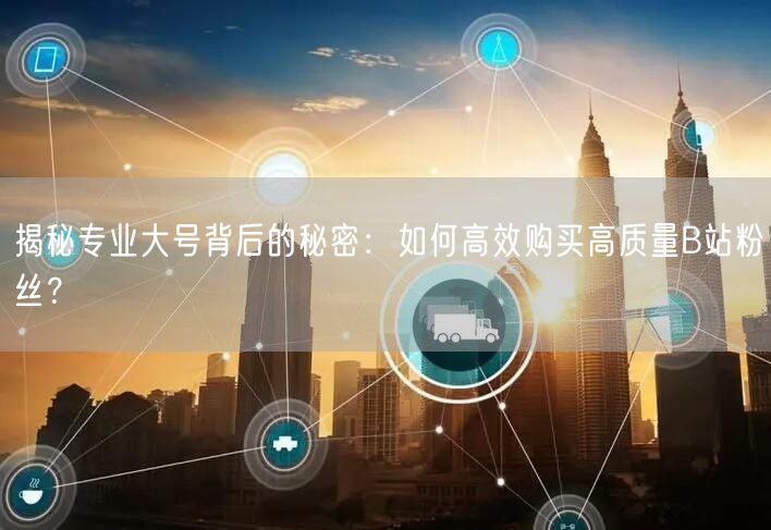 揭秘专业大号背后的秘密：如何高效购买高质量B站粉丝？