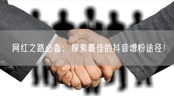 网红之路必备：探索最佳的抖音增粉途径！