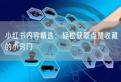 小红书内容精选：轻松获取点赞收藏的小窍门