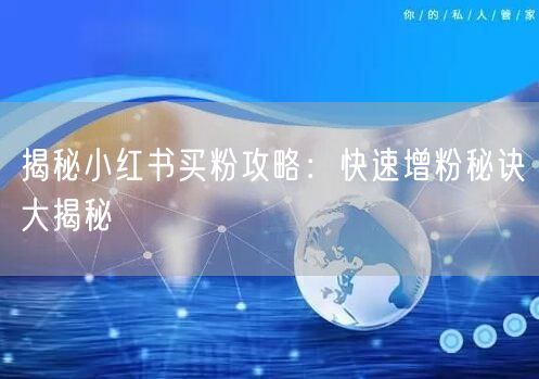 揭秘小红书买粉攻略：快速增粉秘诀大揭秘