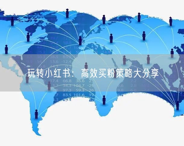 玩转小红书：高效买粉策略大分享