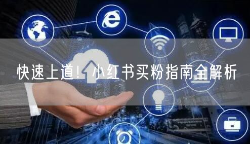 快速上道！小红书买粉指南全解析
