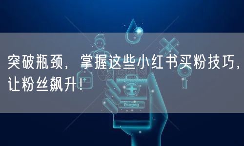 突破瓶颈，掌握这些小红书买粉技巧，让粉丝飙升！