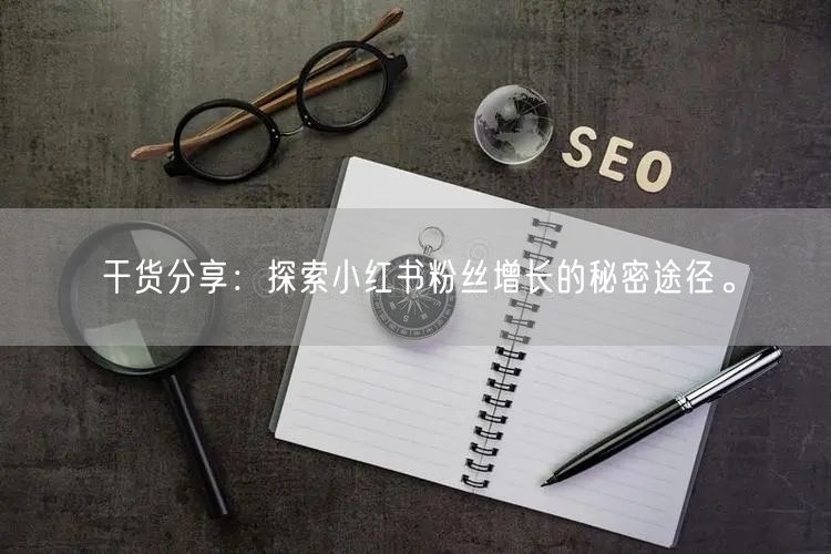 干货分享：探索小红书粉丝增长的秘密途径。