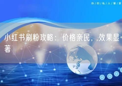 小红书刷粉攻略：价格亲民，效果显著