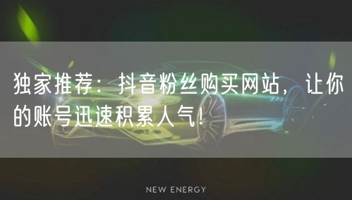 独家推荐：抖音粉丝购买网站，让你的账号迅速积累人气！
