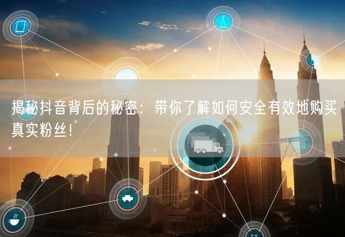揭秘抖音背后的秘密：带你了解如何安全有效地购买真实粉丝！
