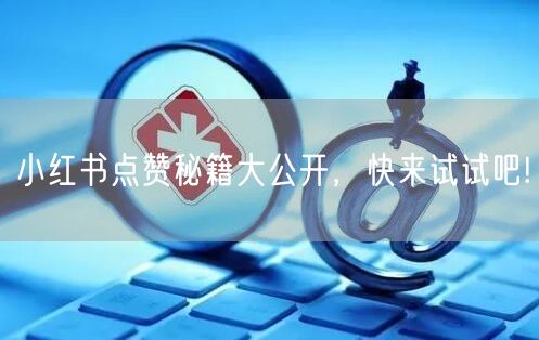 小红书点赞秘籍大公开，快来试试吧!
