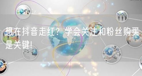 想在抖音走红？学会关注和粉丝购买是关键!