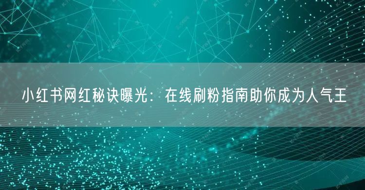 小红书网红秘诀曝光：在线刷粉指南助你成为人气王