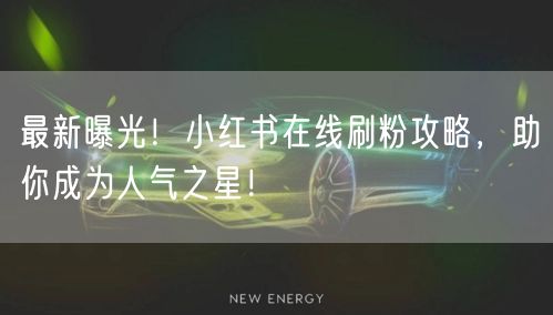 最新曝光！小红书在线刷粉攻略，助你成为人气之星！