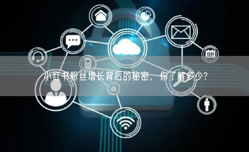 小红书粉丝增长背后的秘密，你了解多少?