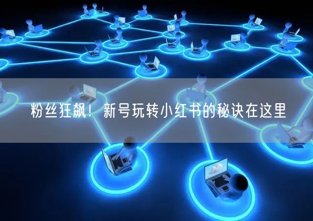 粉丝狂飙！新号玩转小红书的秘诀在这里