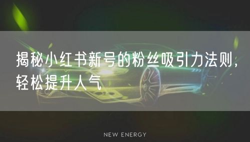 揭秘小红书新号的粉丝吸引力法则，轻松提升人气