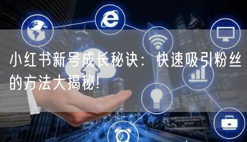 小红书新号成长秘诀：快速吸引粉丝的方法大揭秘!